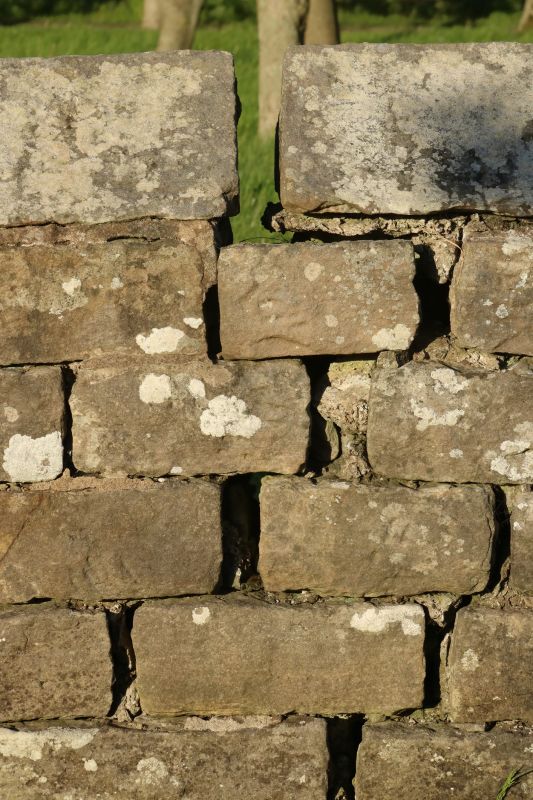 Stone Wall Repair in Cape Coral, FL
